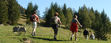 wandern in südtirol